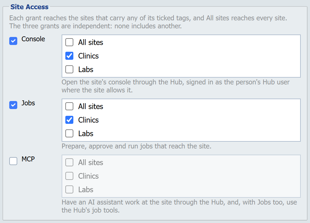 The Site Access section of a role on the Manage Roles page: Console and Jobs ticked, each for the Clinics tag, and MCP unticked, each grant with its description.